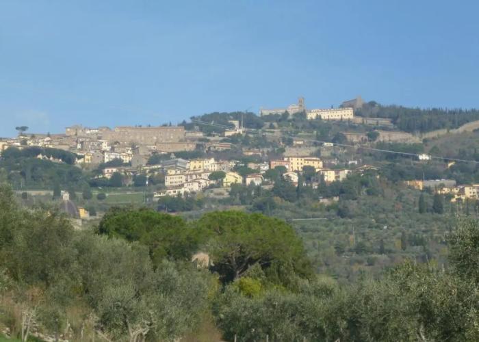Country House Podere Casorbica