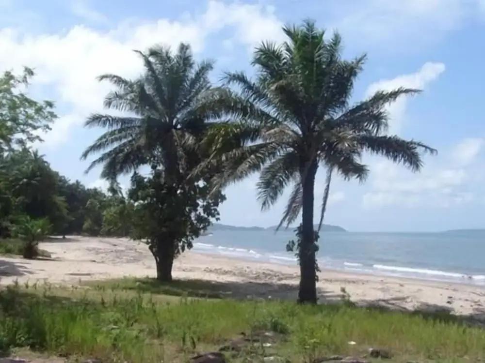 фото Hakaba