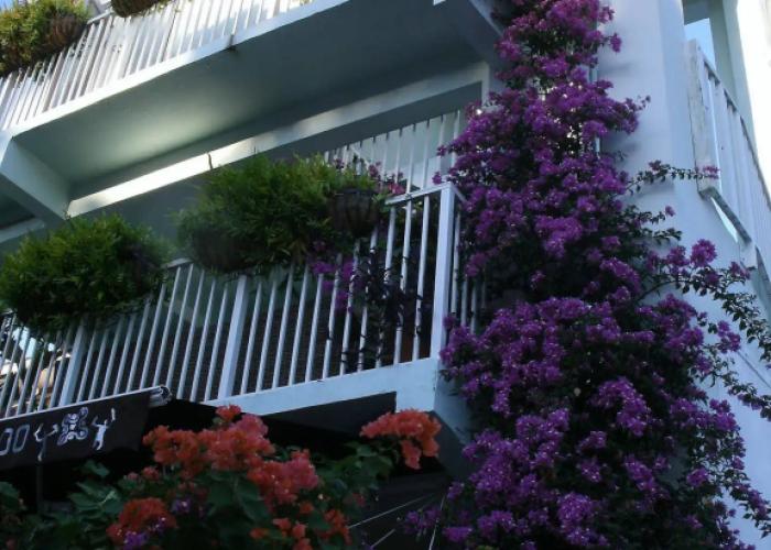 Cruz Bay Boutique Hotel
