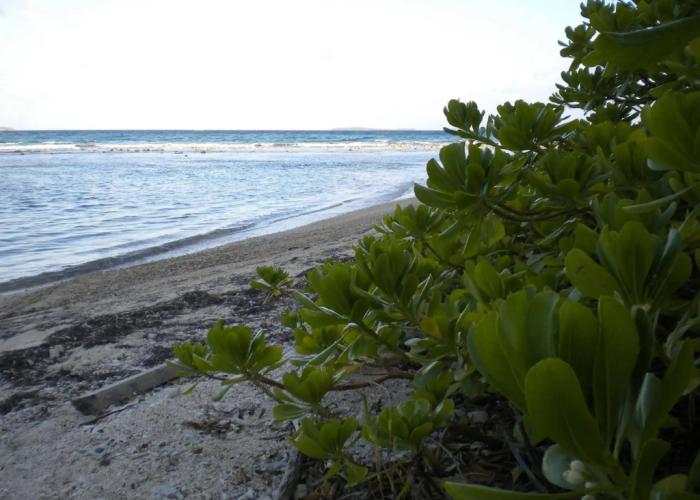 Virgin Islands Campground