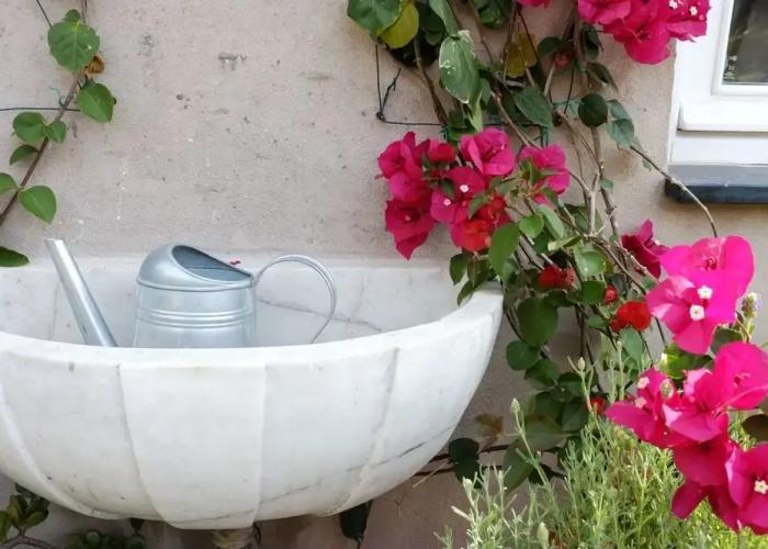 La Terrazza di Vico Olivi B&B