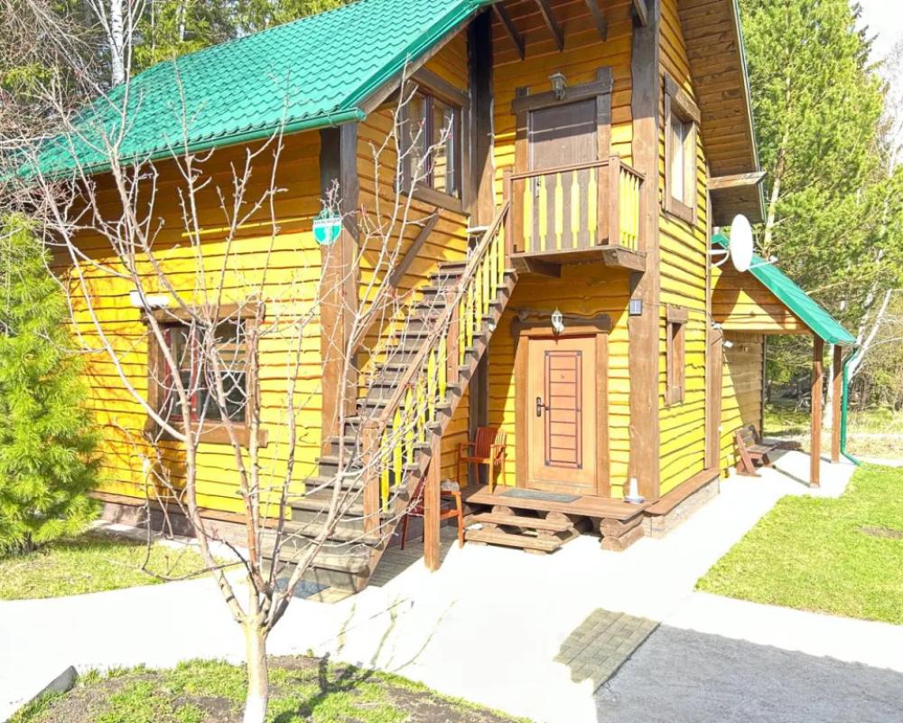 in the coniferous forest Guest house