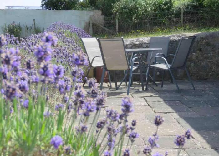 Vale of Glamorgan - Cottage - Sleeps 4 - Parking