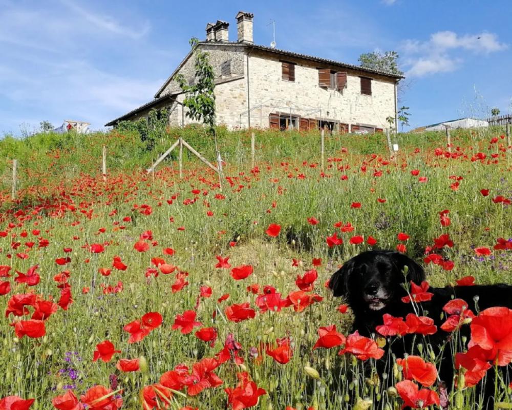 фото Casale Le Orme