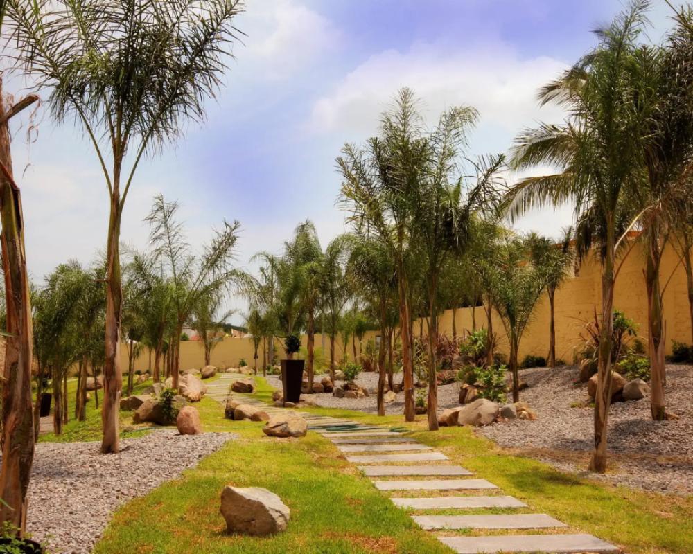 фото Zar Colima