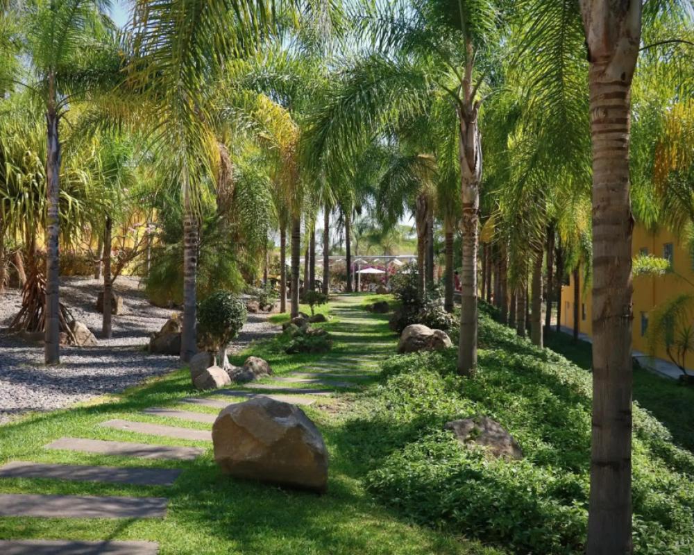 фото Zar Colima
