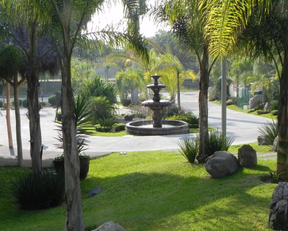 фото Zar Colima