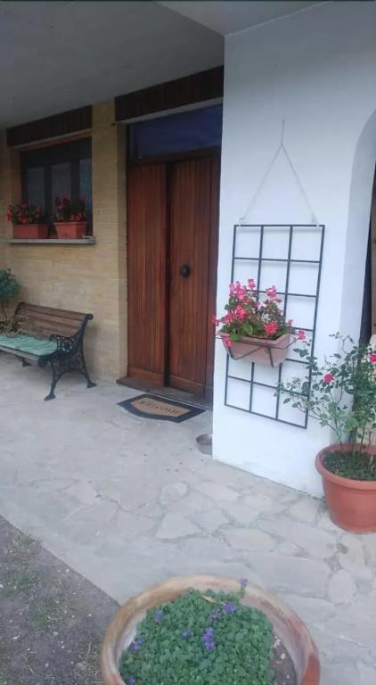 фото B&B Il Cedro