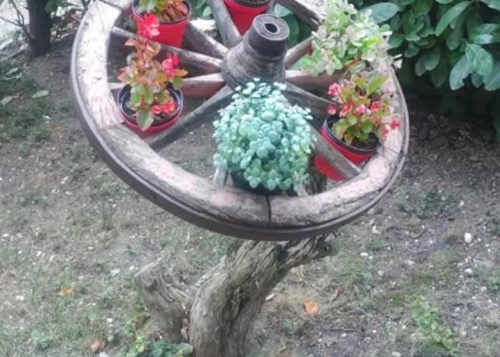 B&B Il Cedro