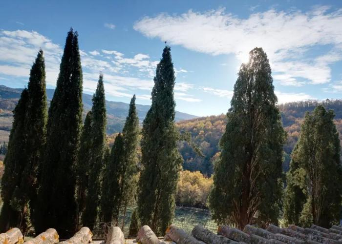 Terre di Baccio