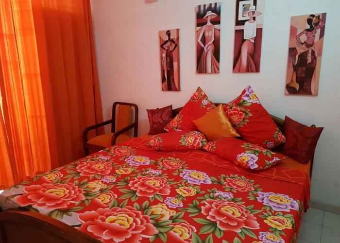 Thambili Island at Stubbs - Hostel