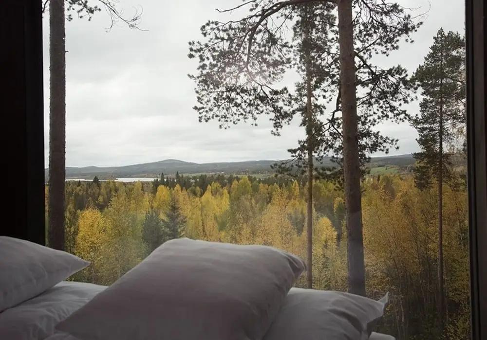 фото Tree Hotel