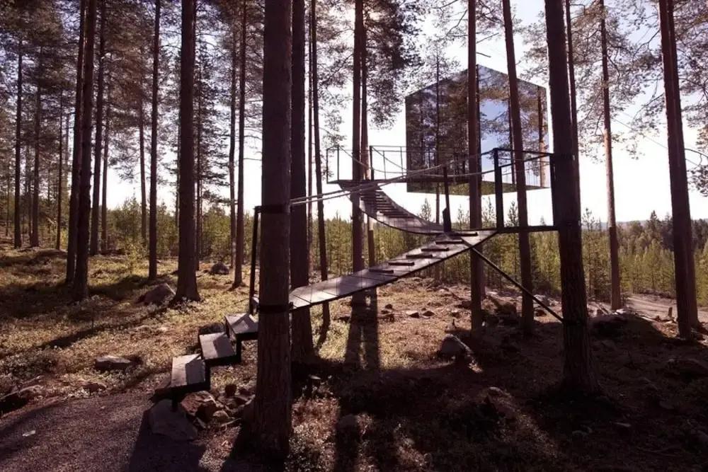 фото Tree Hotel