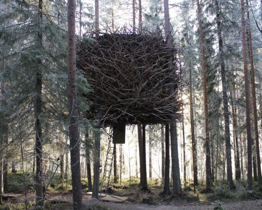 фото Tree Hotel
