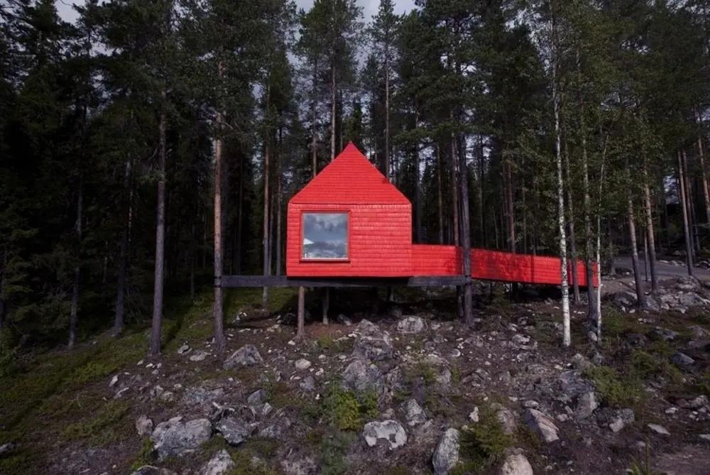 фото Tree Hotel