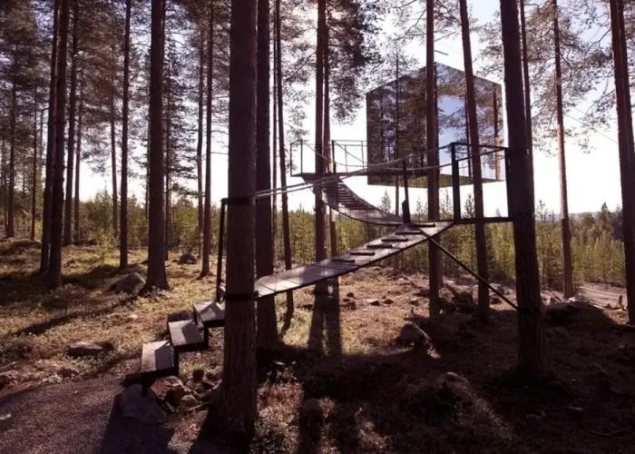 Tree Hotel