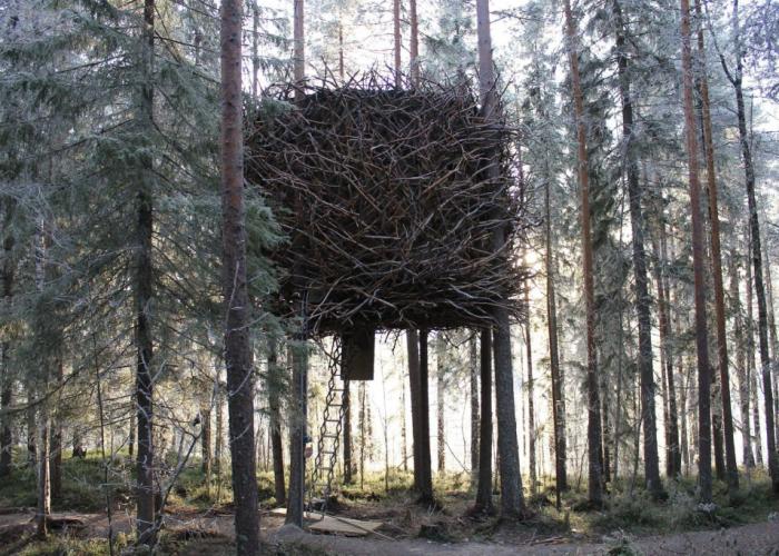 Tree Hotel