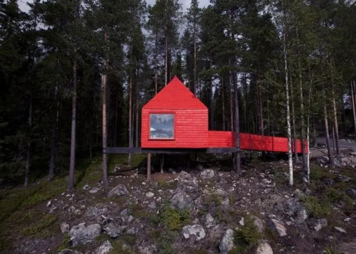 Tree Hotel