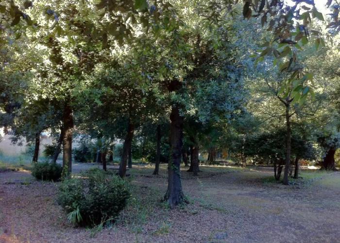 Agriturismo Villa Graziani