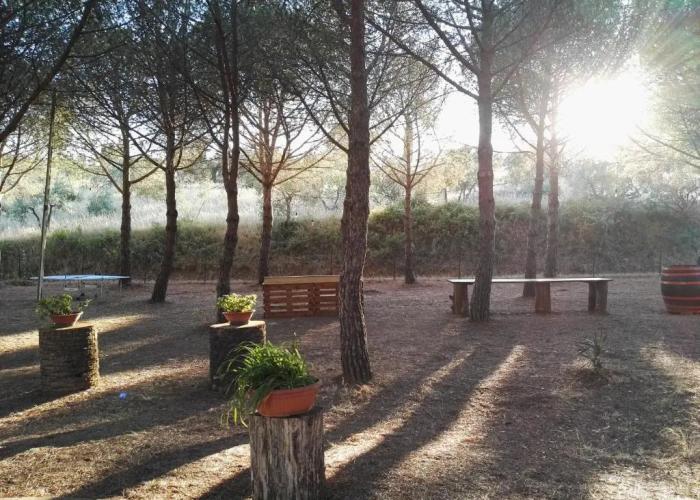 Casa Vacanze Dolce Vita