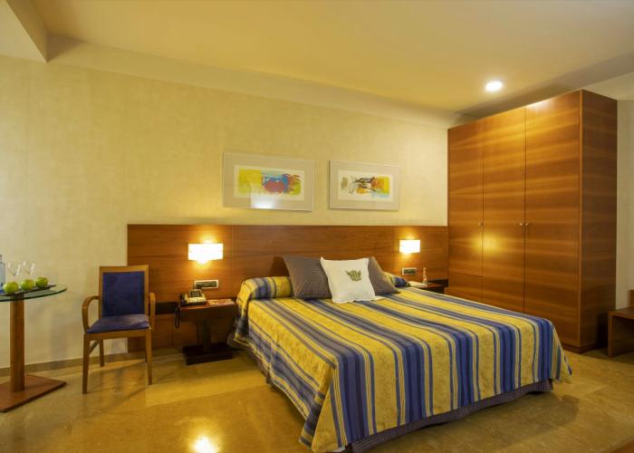 Sercotel Palacio de Tudemir
