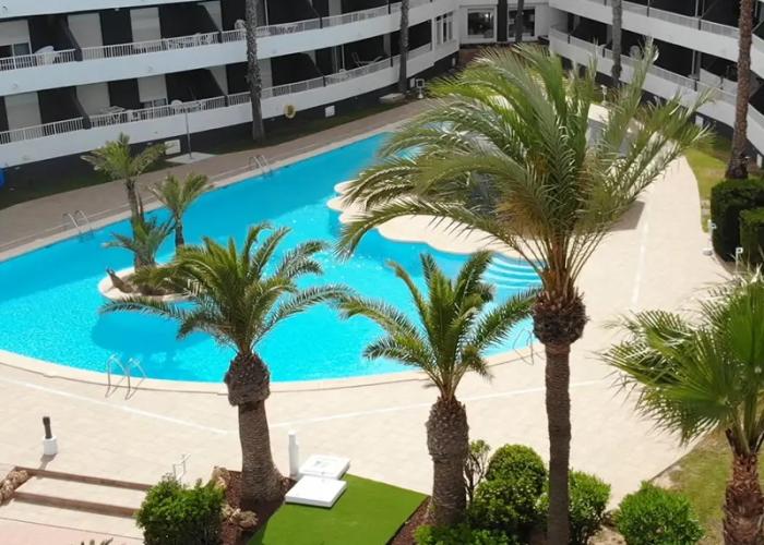 Apartamentos Palmera Beach