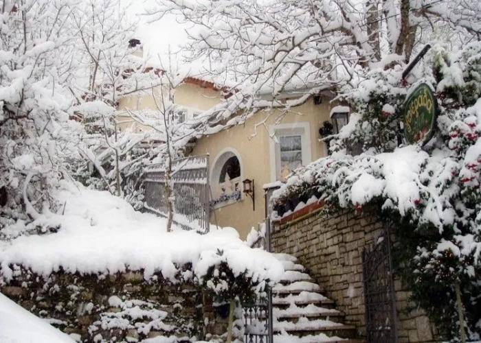 Anerada inn Luxury Suites & Villa - Pet Friendly