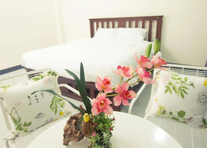 The 9th House - Hostel