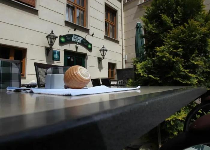 Parkhotel Plauen