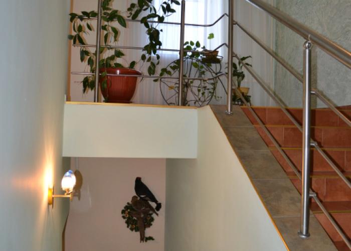 Zolotoy Ruchei Mini-hotel