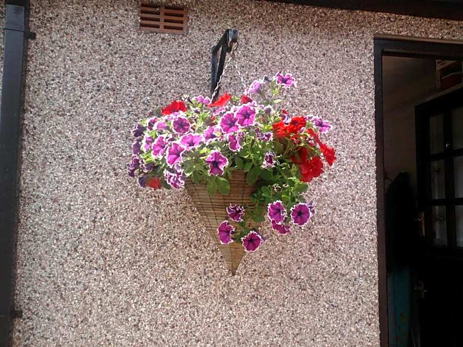 Lon Y Traeth Bed & Breakfast