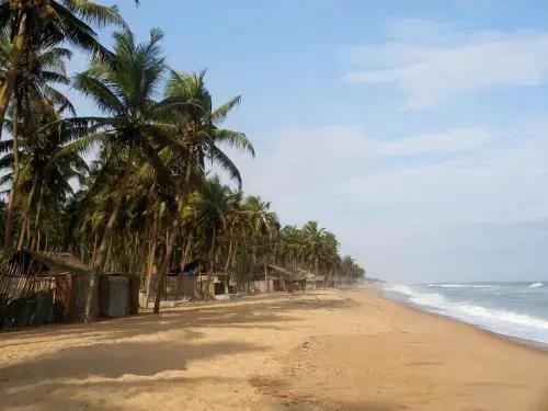 фото Dodoo Lodge