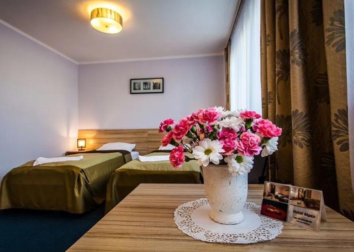 Hotel Alpex View