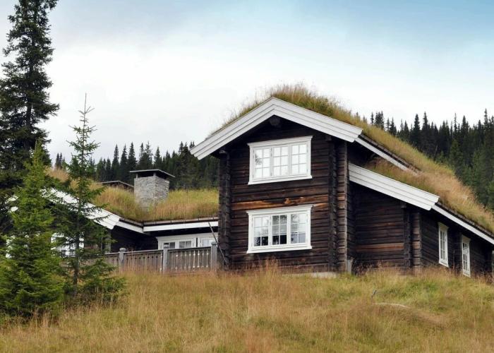 Holiday Home in FÃ¥vang