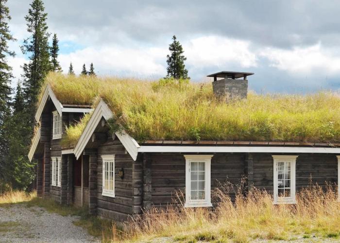 Holiday Home in FÃ¥vang