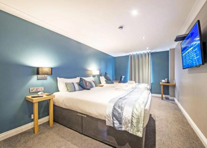 Dolphin Rooms