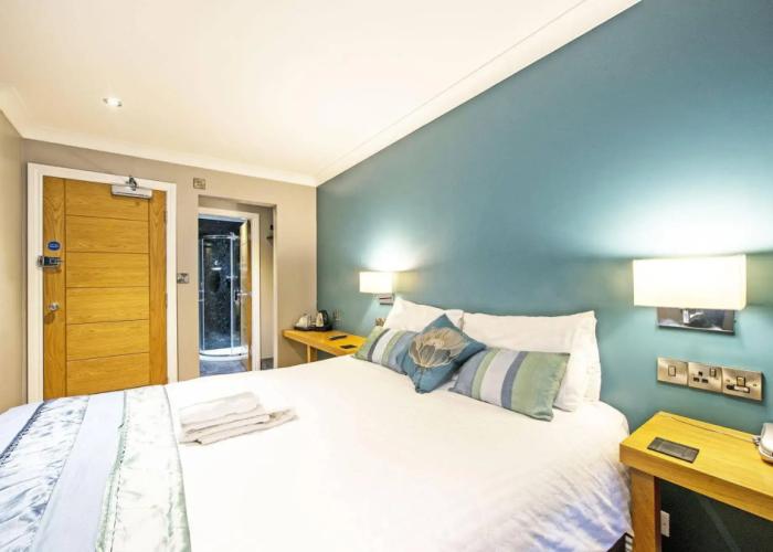 Dolphin Rooms