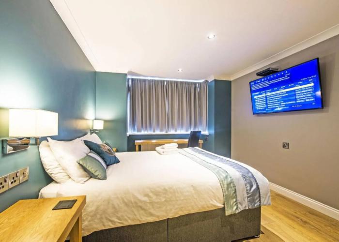 Dolphin Rooms
