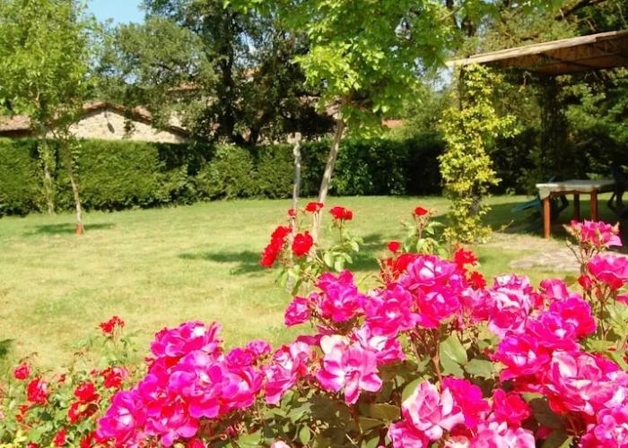 Three-room Apartment on the Outskirts of Chianti