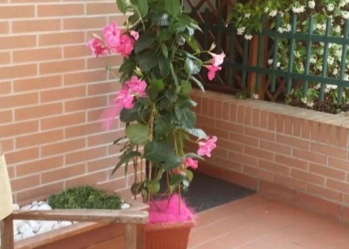 Residence Arianna