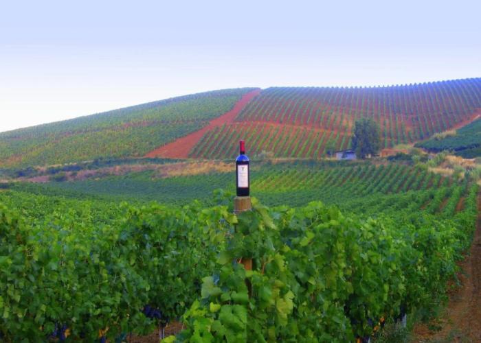 Agriturismo Tarantola
