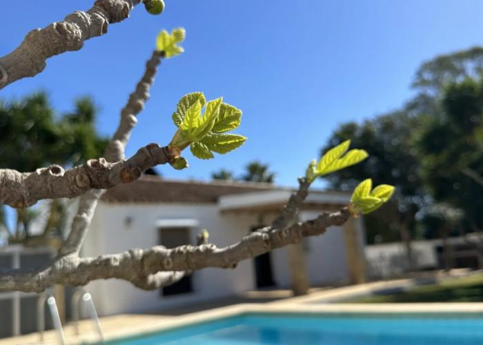 Vivienda Rural Atlantico Sur Private house