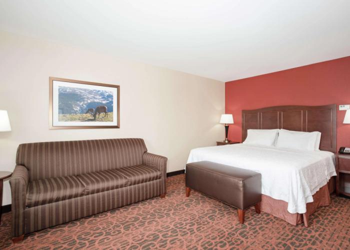 Hampton Inn & Suites Denver/South-RidgeGate