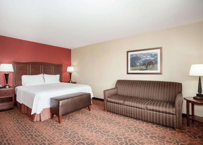 Hampton Inn & Suites Denver/South-RidgeGate