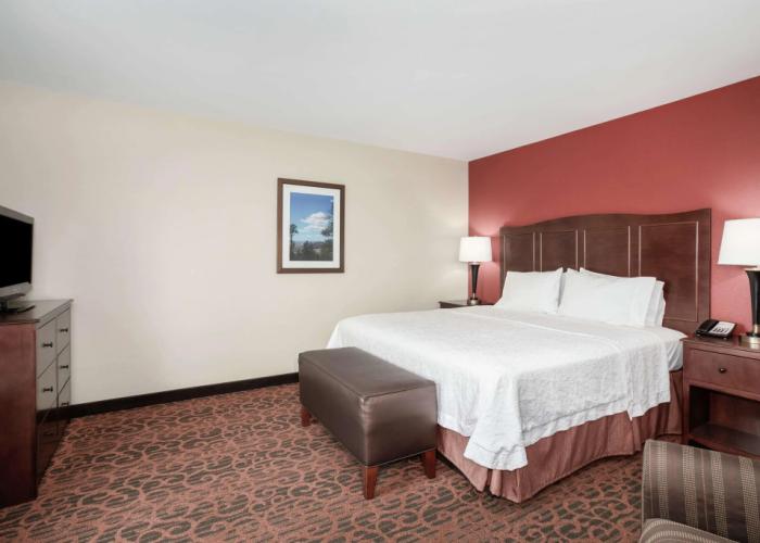 Hampton Inn & Suites Denver/South-RidgeGate