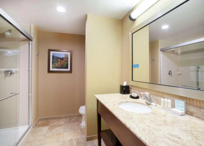 Hampton Inn & Suites Denver/South-RidgeGate