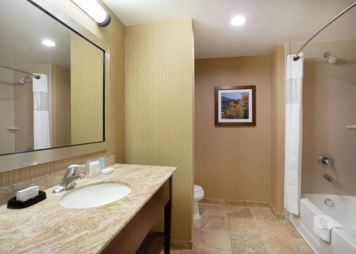 Hampton Inn & Suites Denver/South-RidgeGate