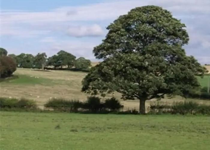 Quixhill - Denstone - Dove Meadow B & B