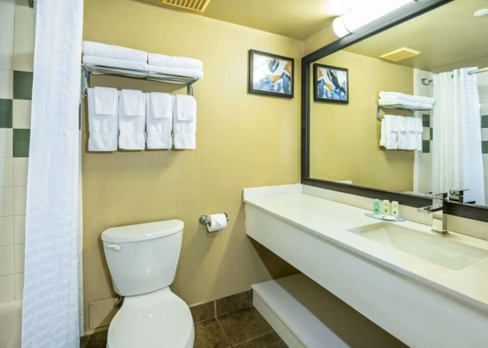 Quality Inn & Suites