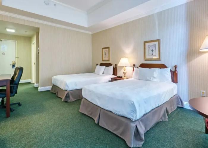The Casablanca Hotel